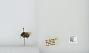 Bombus (Pyrobombus) mixtus