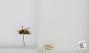 Bombus (Pyrobombus) mixtus