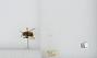 Bombus (Pyrobombus) mixtus