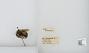 Bombus (Pyrobombus) mixtus