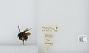 Bombus (Pyrobombus) mixtus