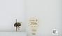 Bombus (Pyrobombus) mixtus