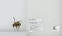 Bombus (Pyrobombus) perplexus