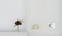 Bombus (Pyrobombus) pratorum