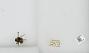 Bombus (Pyrobombus) pratorum
