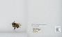 Bombus (Pyrobombus) sandersoni