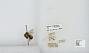 Bombus (Pyrobombus) sandersoni