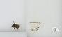 Bombus (Pyrobombus) sitkensis