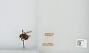 Bombus (Pyrobombus) sitkensis