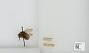 Bombus (Pyrobombus) sitkensis