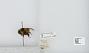 Bombus (Pyrobombus) ternarius