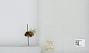 Bombus (Pyrobombus) ternarius
