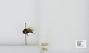 Bombus (Pyrobombus) ternarius