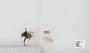 Bombus sp.