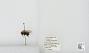 Bombus sp.