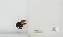 Bombus sp.