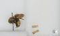 Bombus sp.