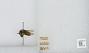 Bombus sp.