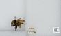 Bombus sp.