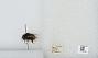 Bombus sp.