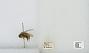 Bombus sp.