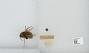 Bombus sp.