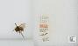 Bombus sp.
