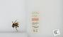 Bombus sp.