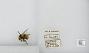 Bombus sp.