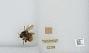 Bombus sp.