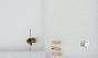 Bombus sp.