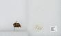 Bombus sp.