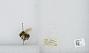 Bombus sp.