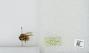 Bombus sp.