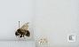 Bombus sp.