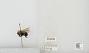 Bombus sp.