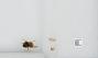 Bombus sp.
