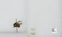 Bombus sp.