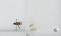 Bombus sp.