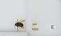 Bombus sp.
