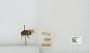 Bombus sp.