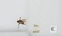 Bombus sp.