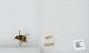 Bombus sp.