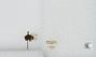 Bombus sp.