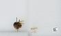 Bombus sp.