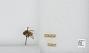 Bombus sp.