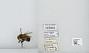 Bombus sp.