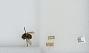 Bombus sp.