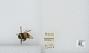 Bombus sp.