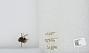 Bombus sp.